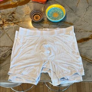 American Eagle Outfitters Sky Blue Boxer Briefs